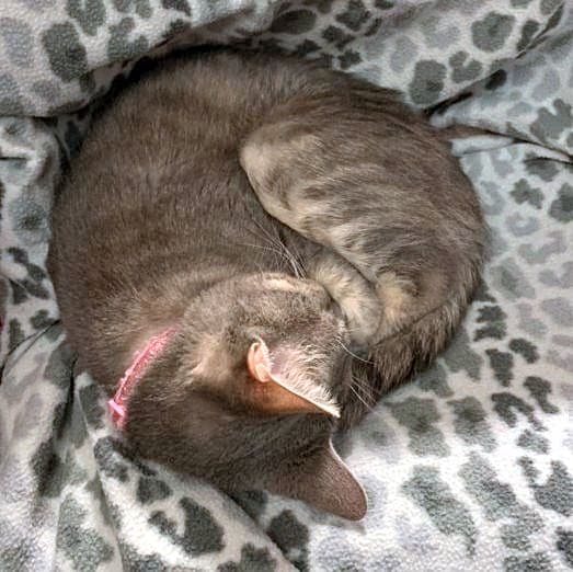 Photo of Gabbie