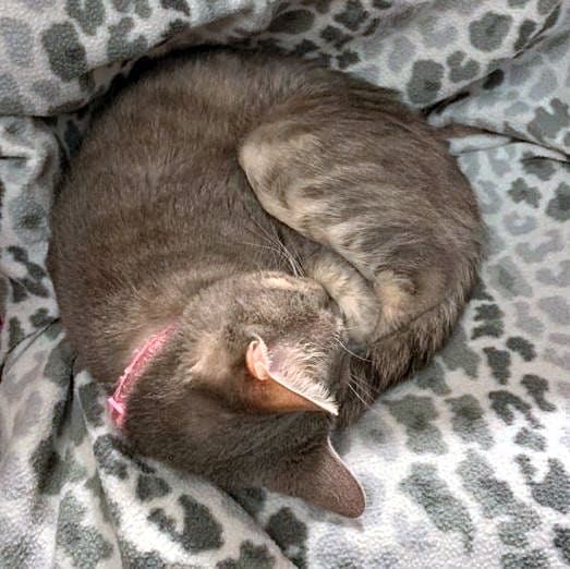Photo of Gabbie