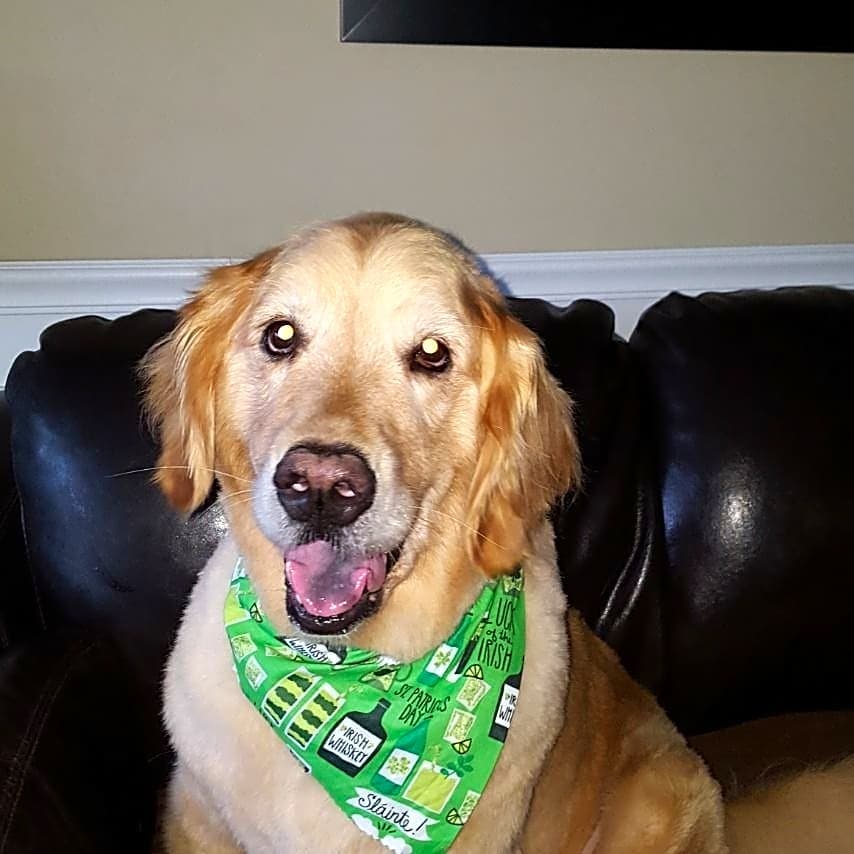 Photo of Daisy