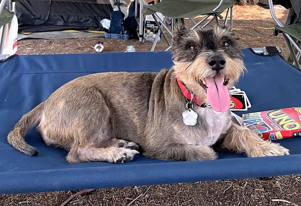 Photo of Gucci