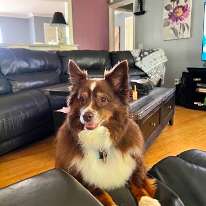 Photo of Gen Gen