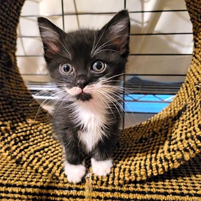 Photo of Arya