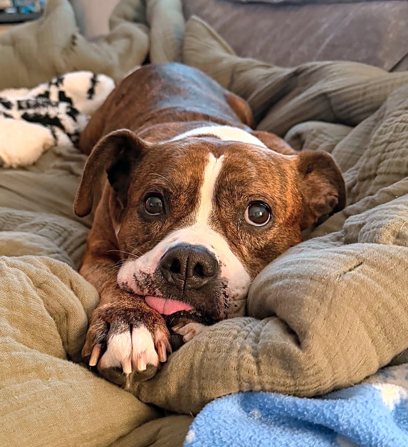 Photo of Wiggles