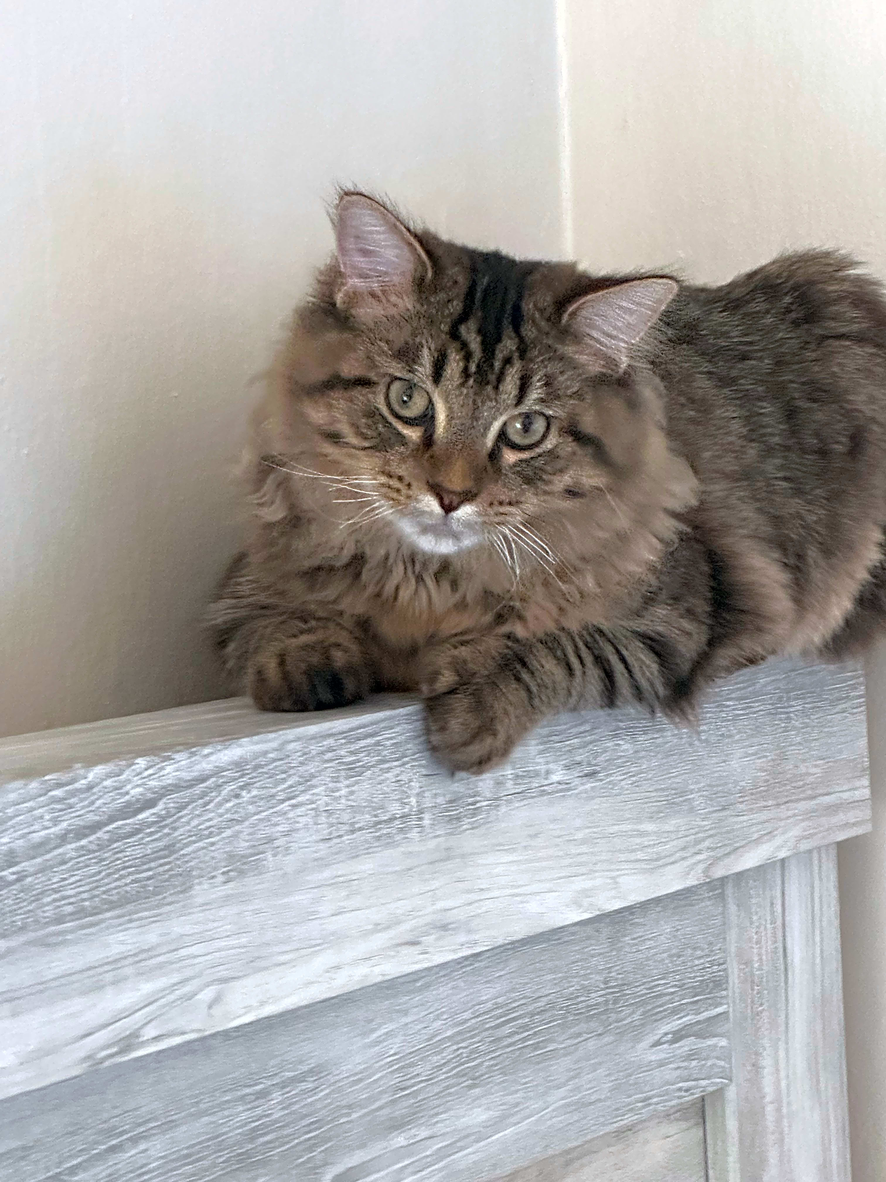 Photo of Gio