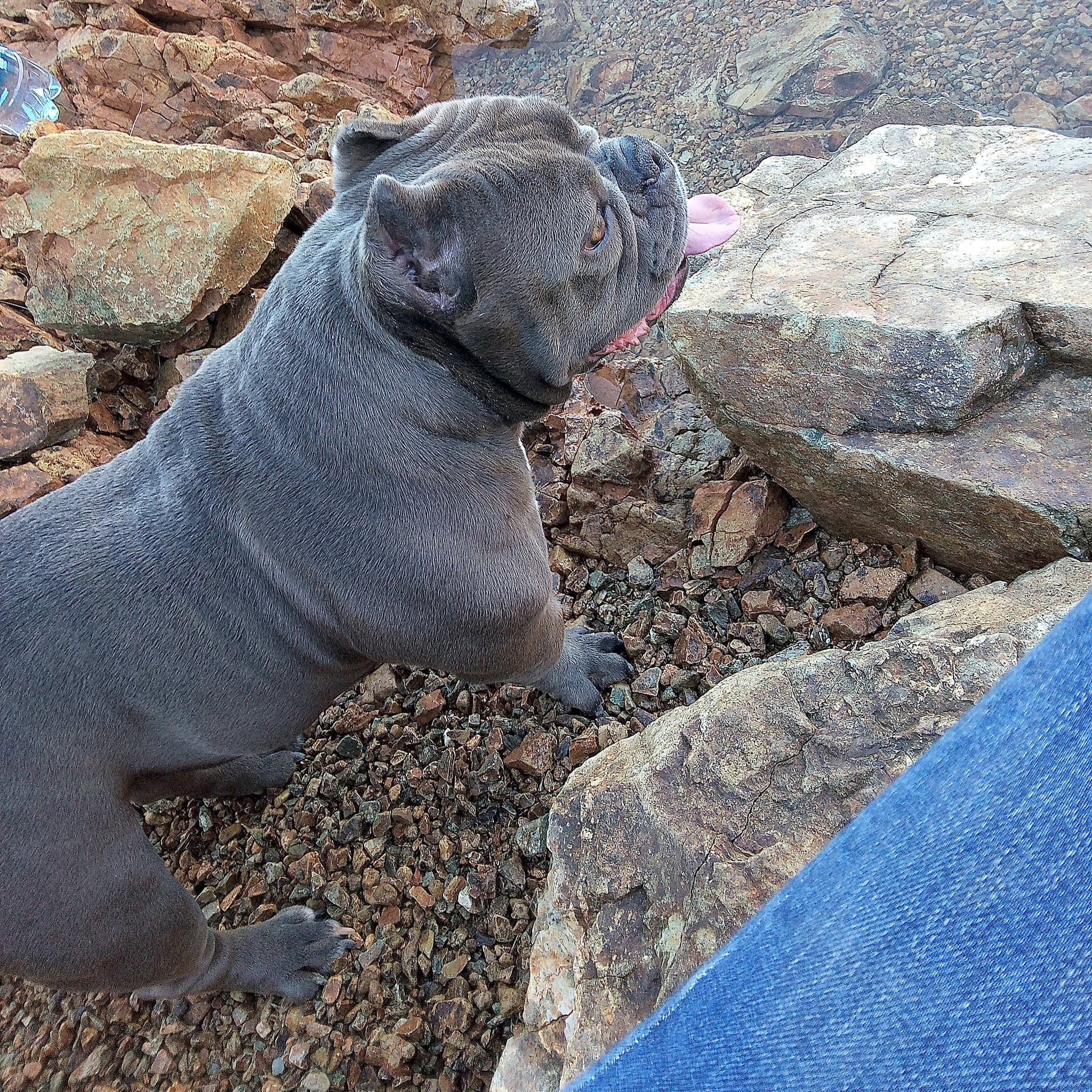 Photo of Loka