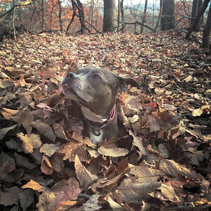 Photo of Xen