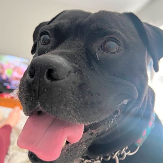 Photo of Jax