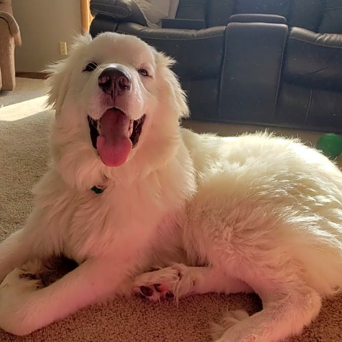 Photo of Olaf