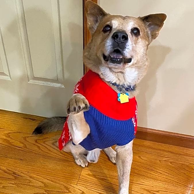 Photo of Ben