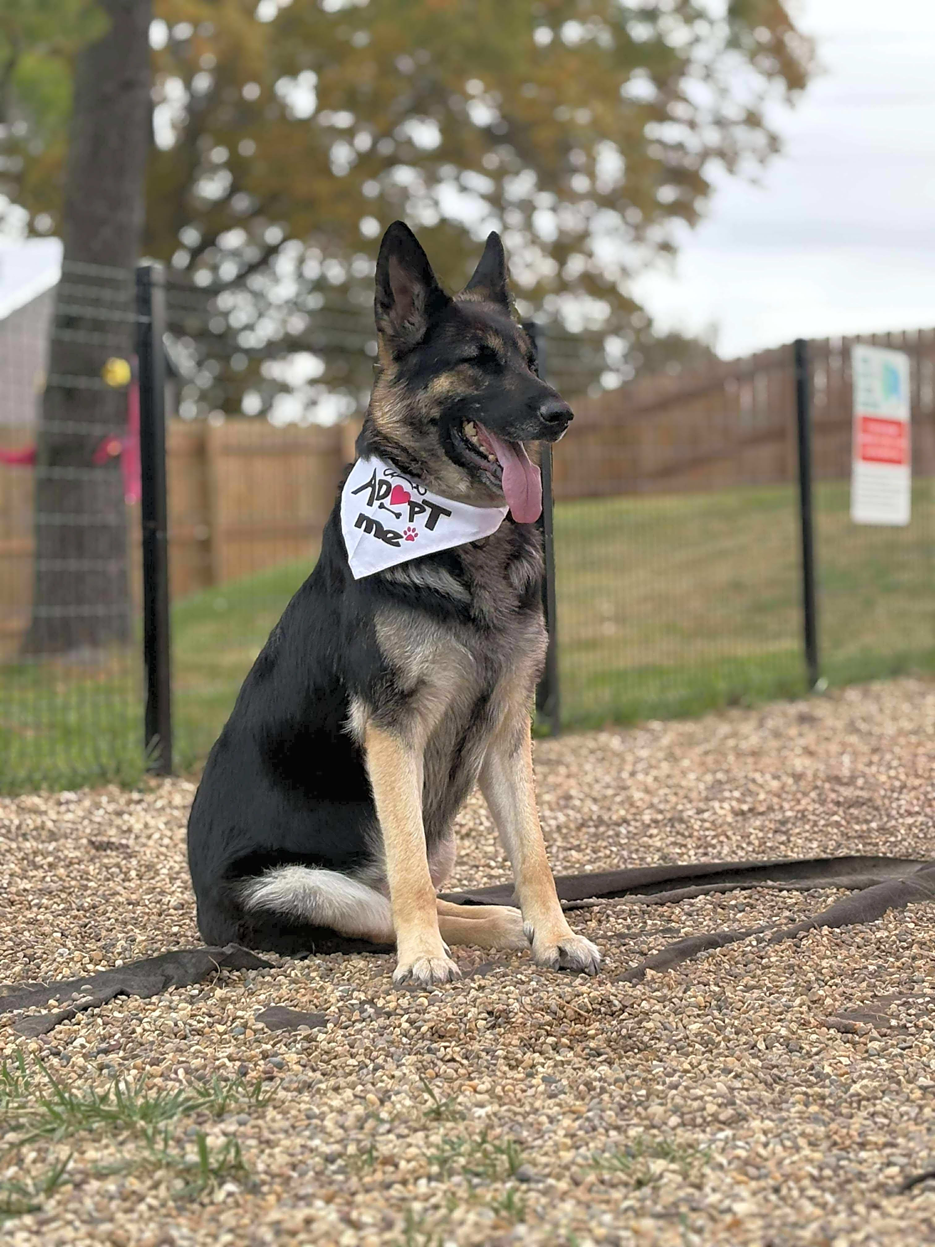 Photo of Heidi