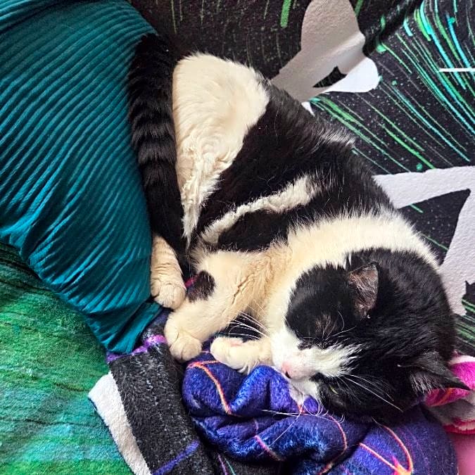Photo of Delilah