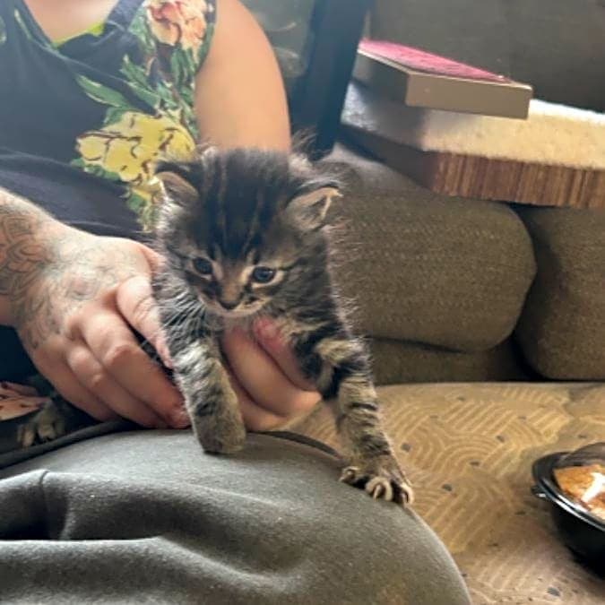 Photo of Jinx