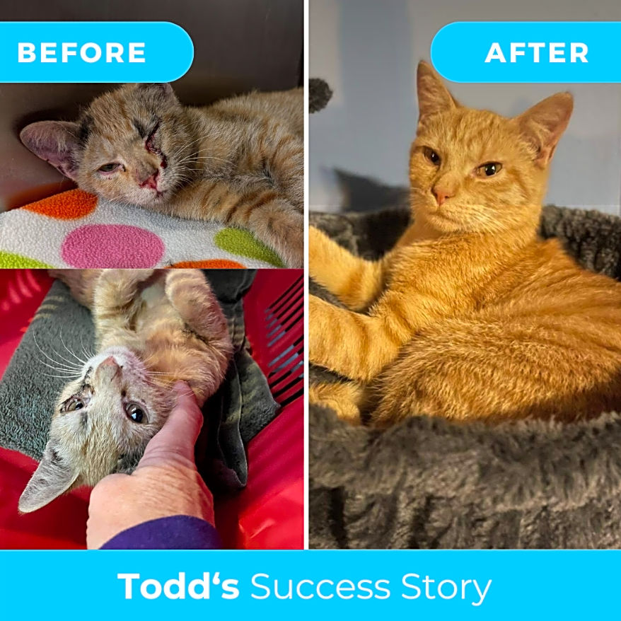 Photo of Todd