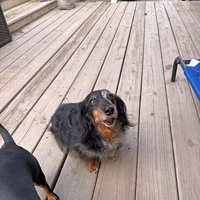Photo of Willy