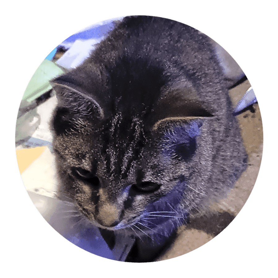 Photo of Tutie