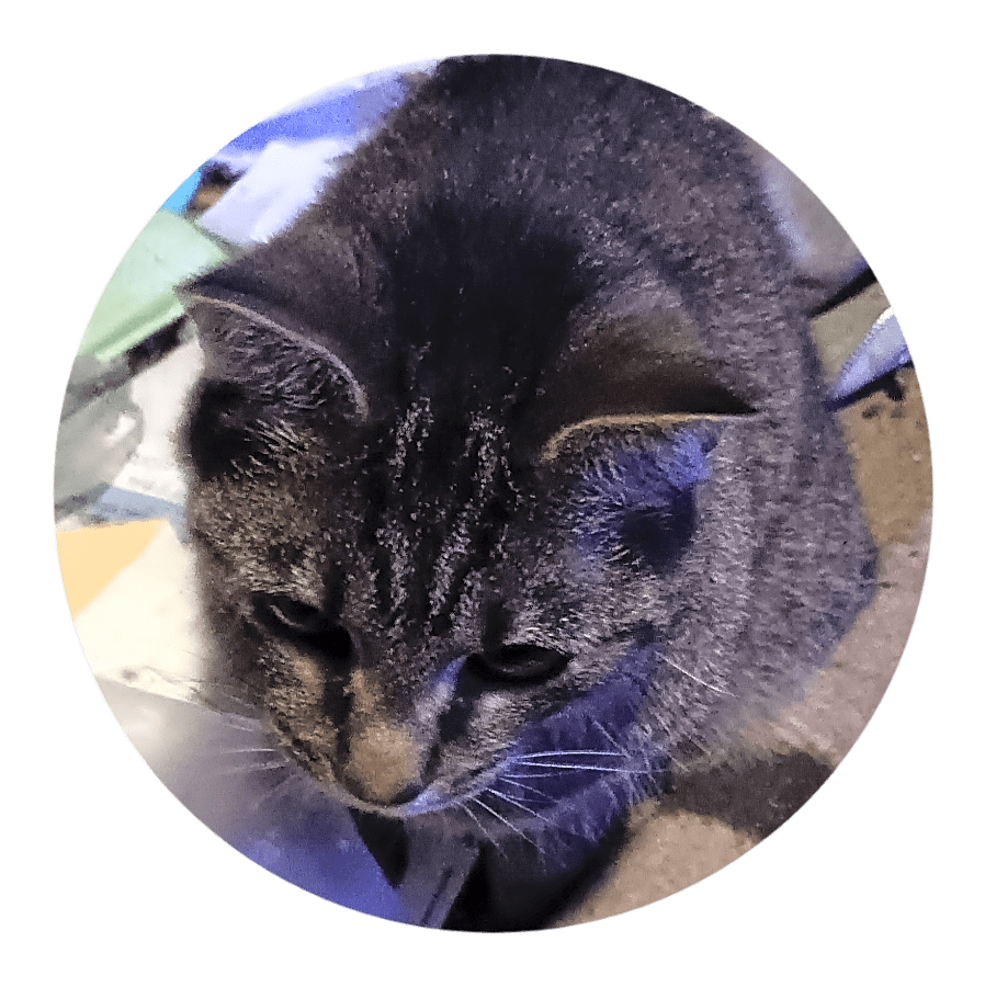 Photo of Tutie