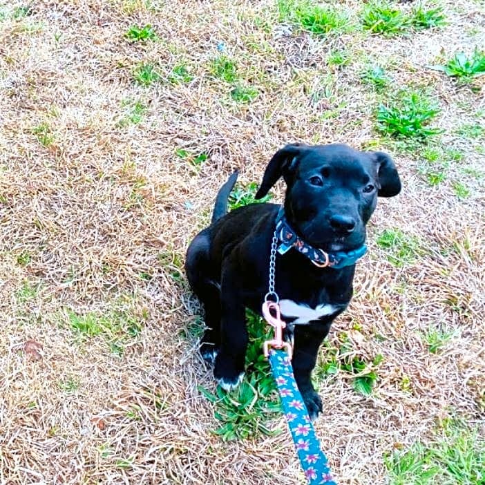 Photo of Skylar