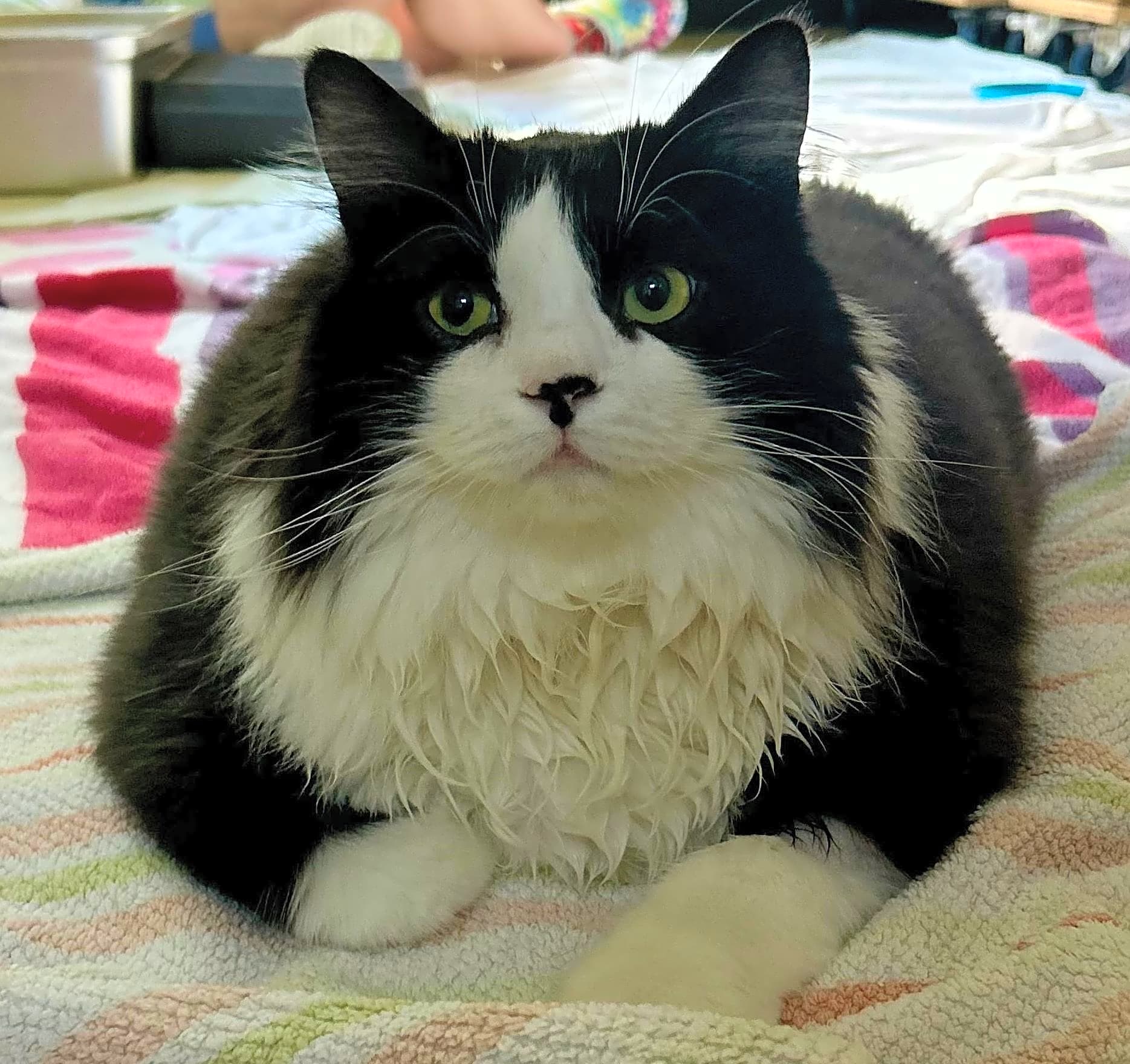 Photo of George