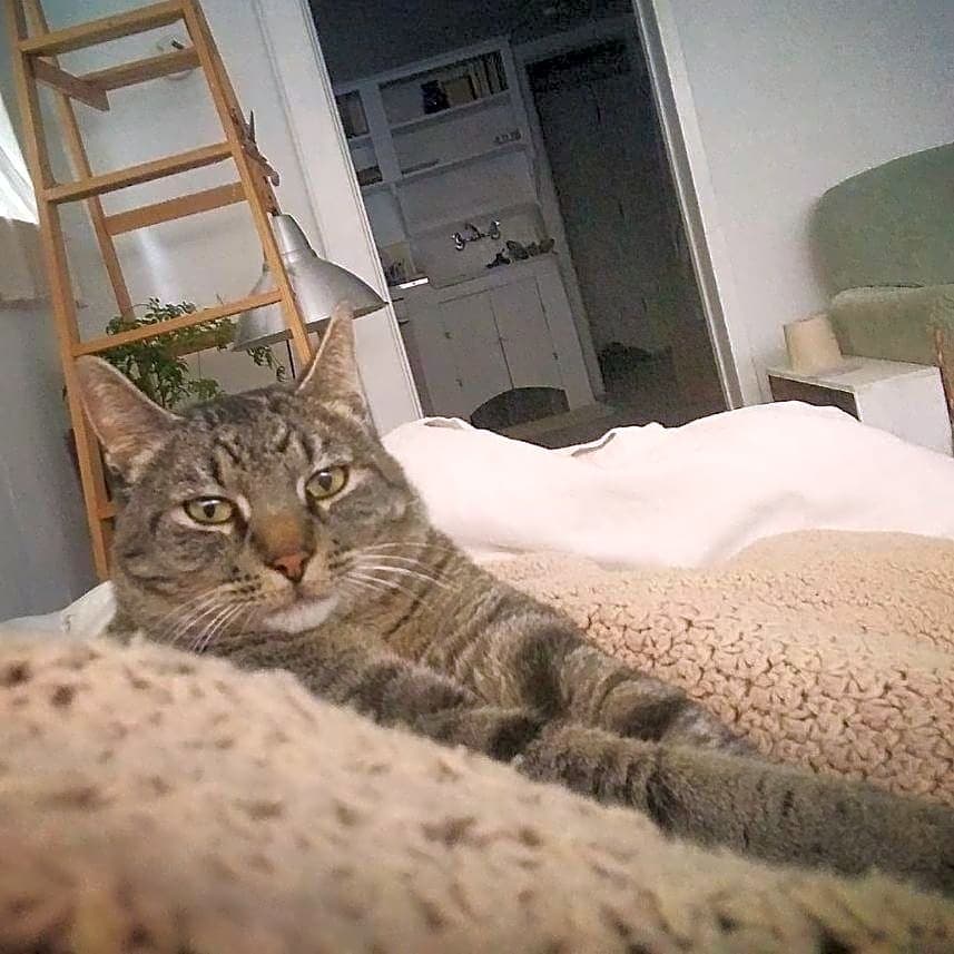 Photo of Sebastian Baker Wolf