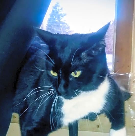 Photo of Kiki moe