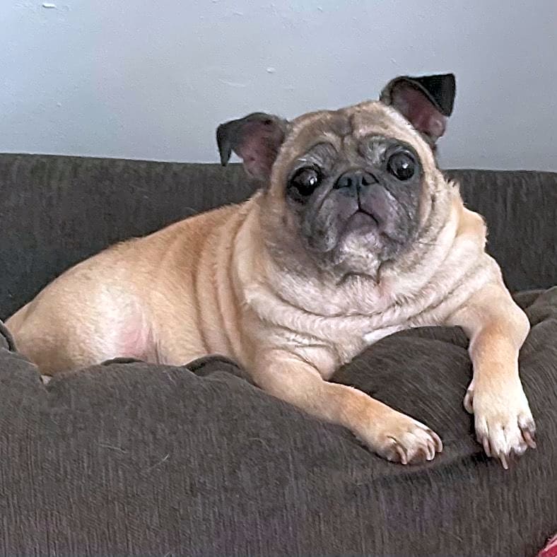 Photo of Mimi