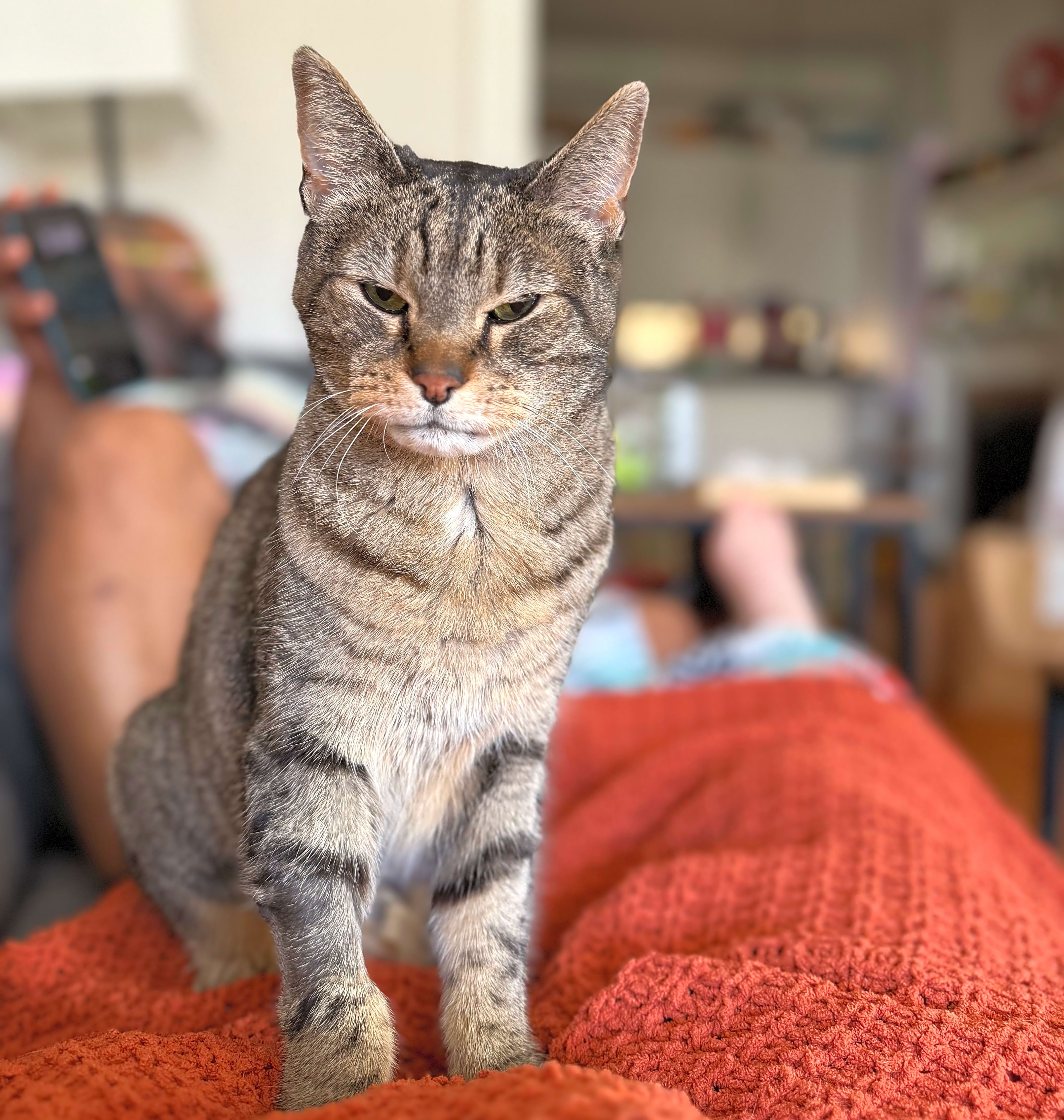Photo of Princess Pizza
