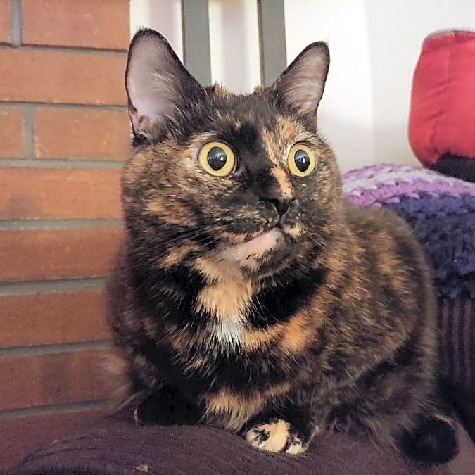 Photo of Cherie