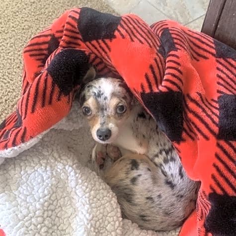 Photo of Benny
