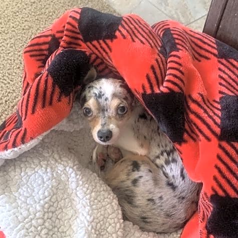 Photo of Benny