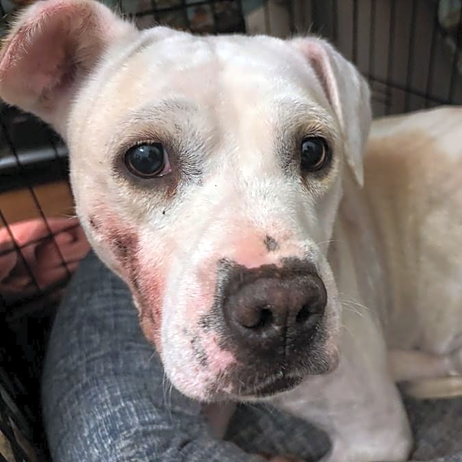 Photo of Annie
