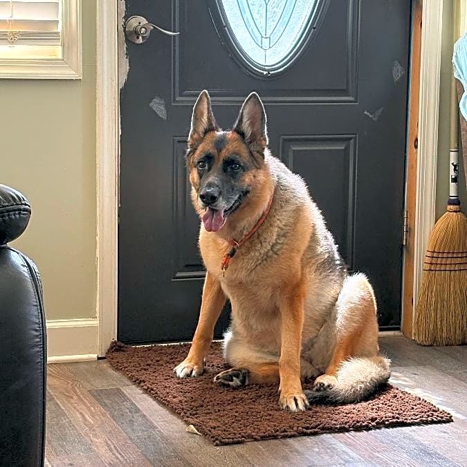 Photo of Sasha