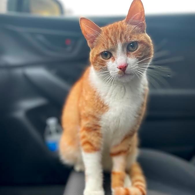 Photo of Jack