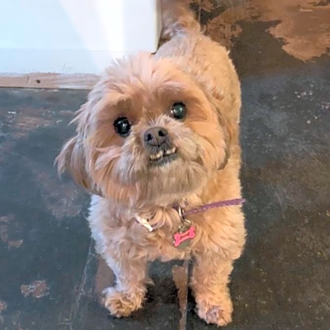Photo of Mia