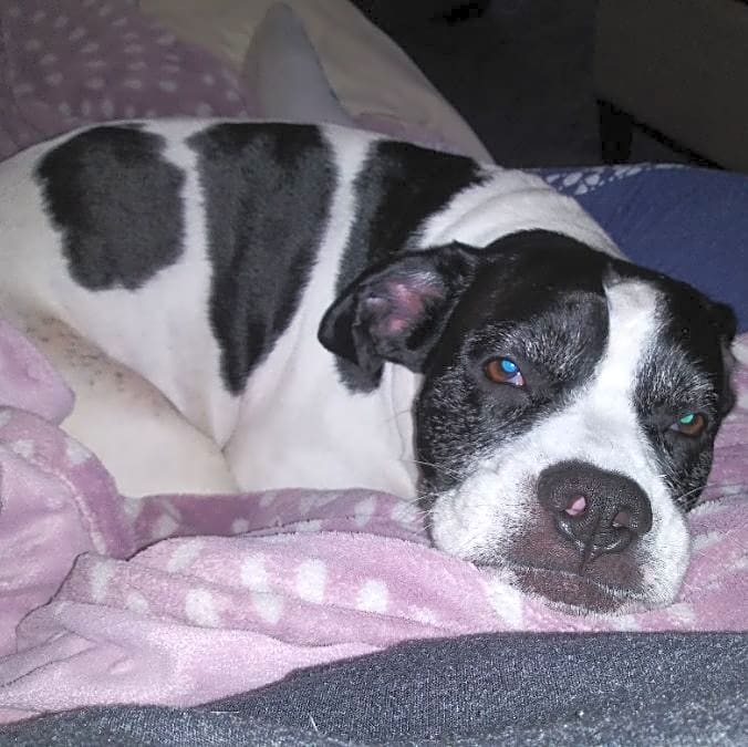 Photo of Doobie
