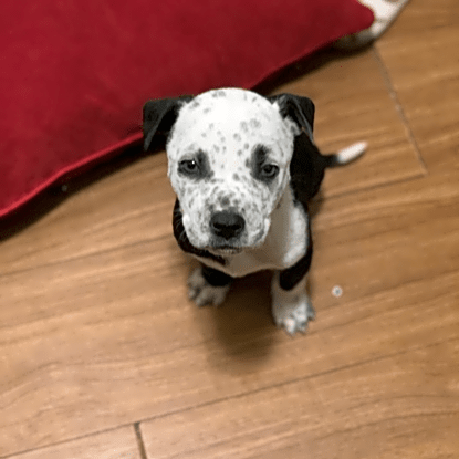 Photo of Renni