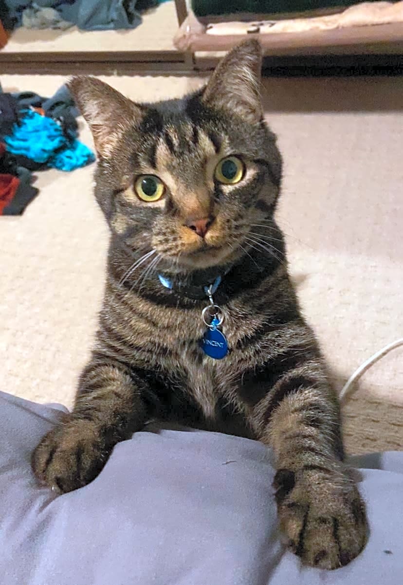 Photo of Vincent