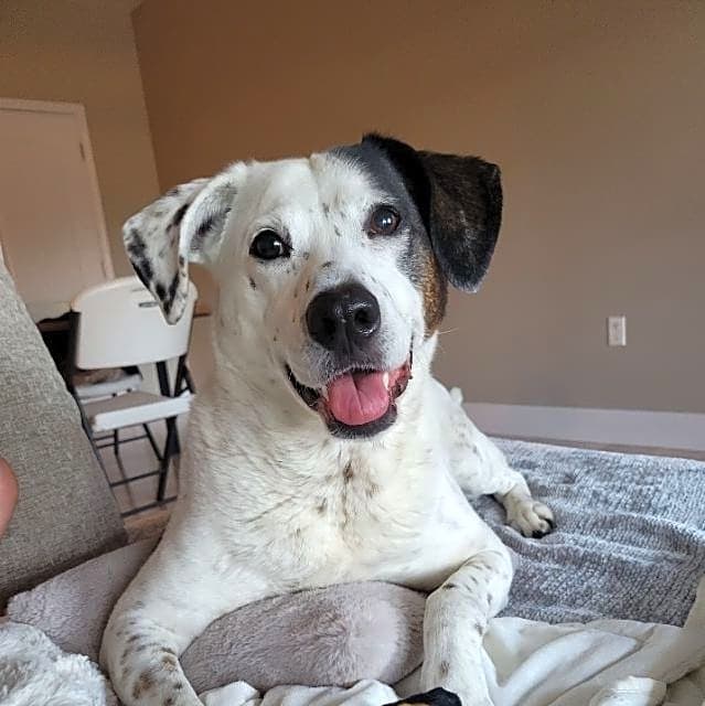Photo of Ellie