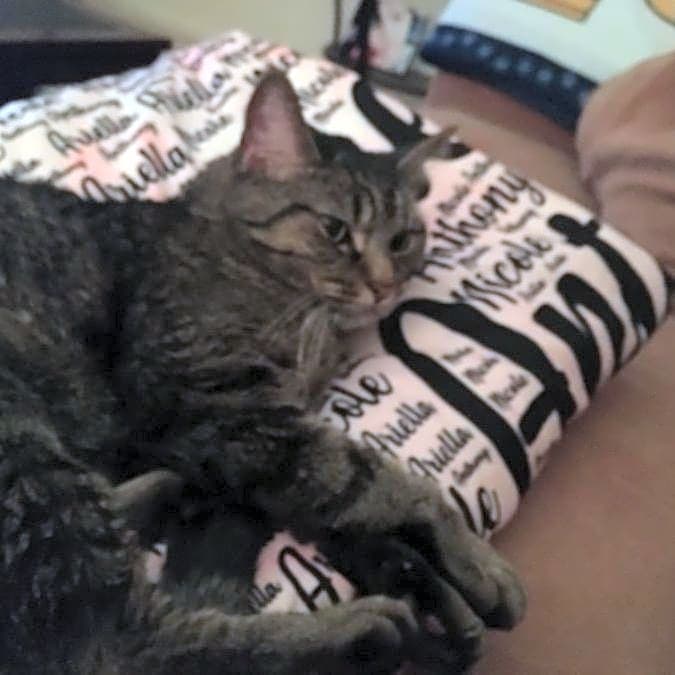 Photo of Bella