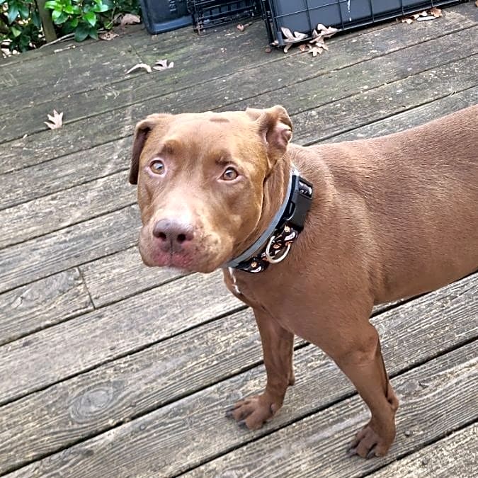 Photo of Sasha