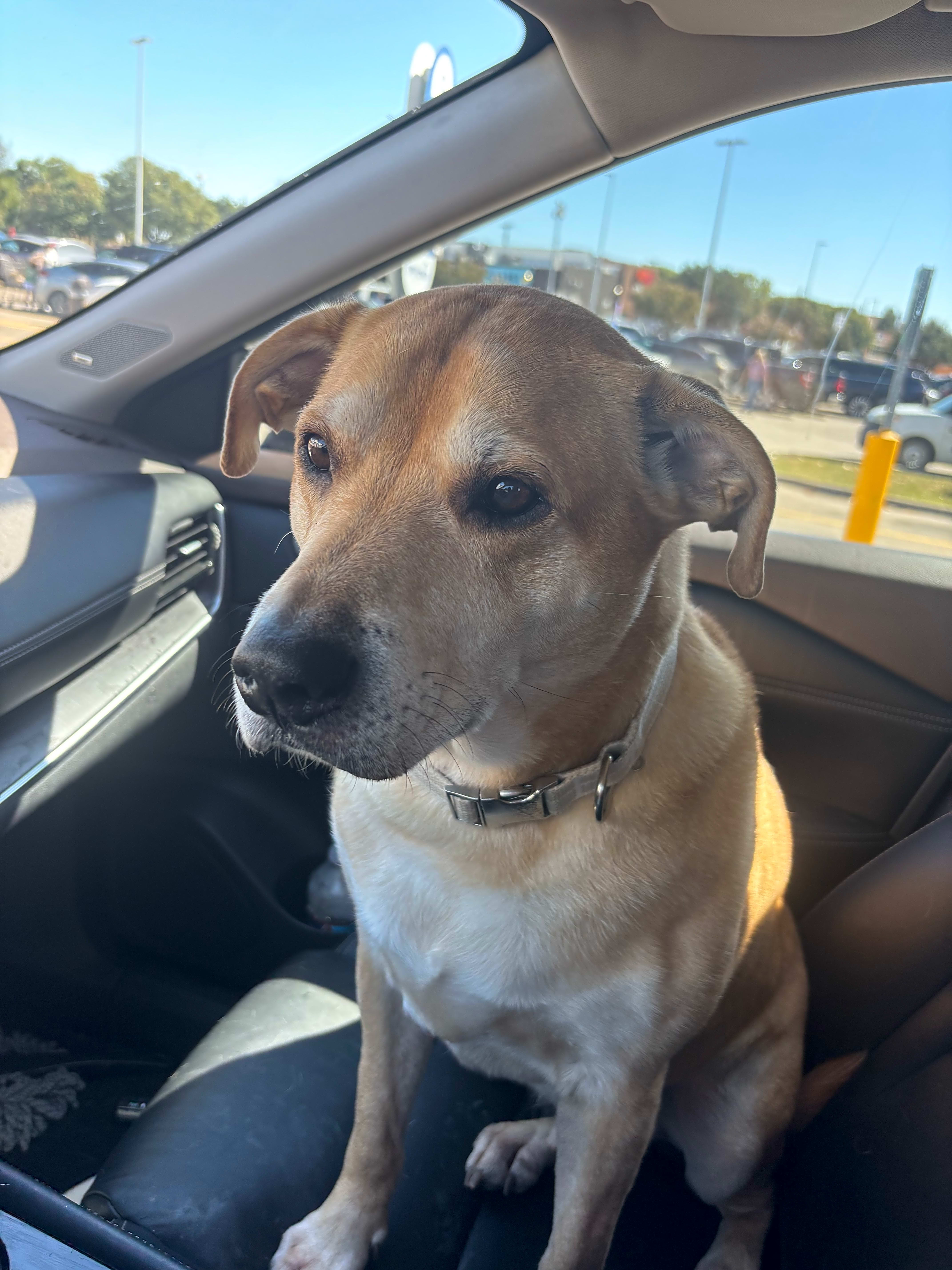Photo of Jaxson