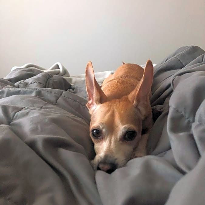 Photo of Bobby
