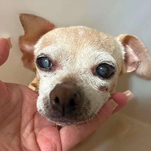 Photo of Milky