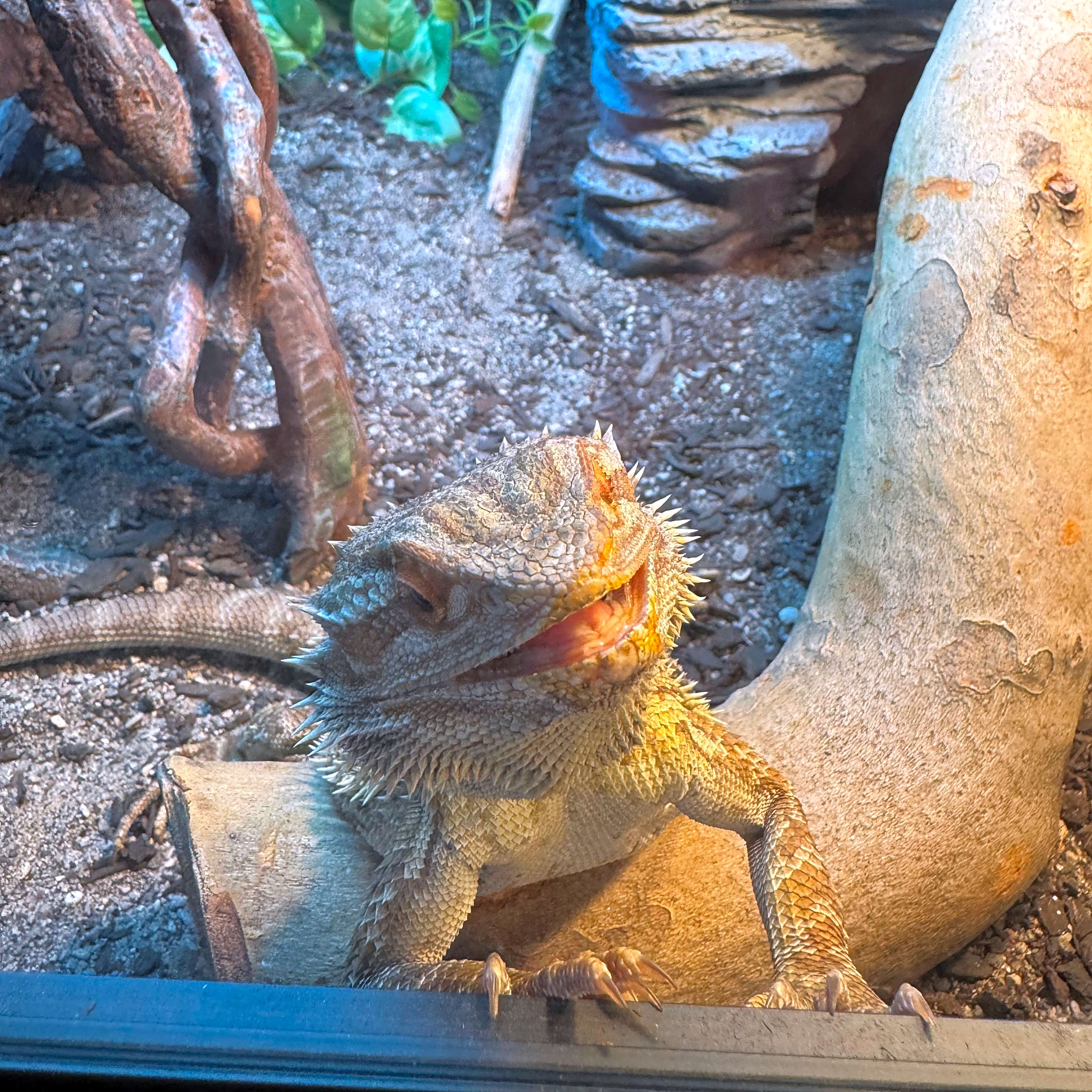 Photo of Charlie