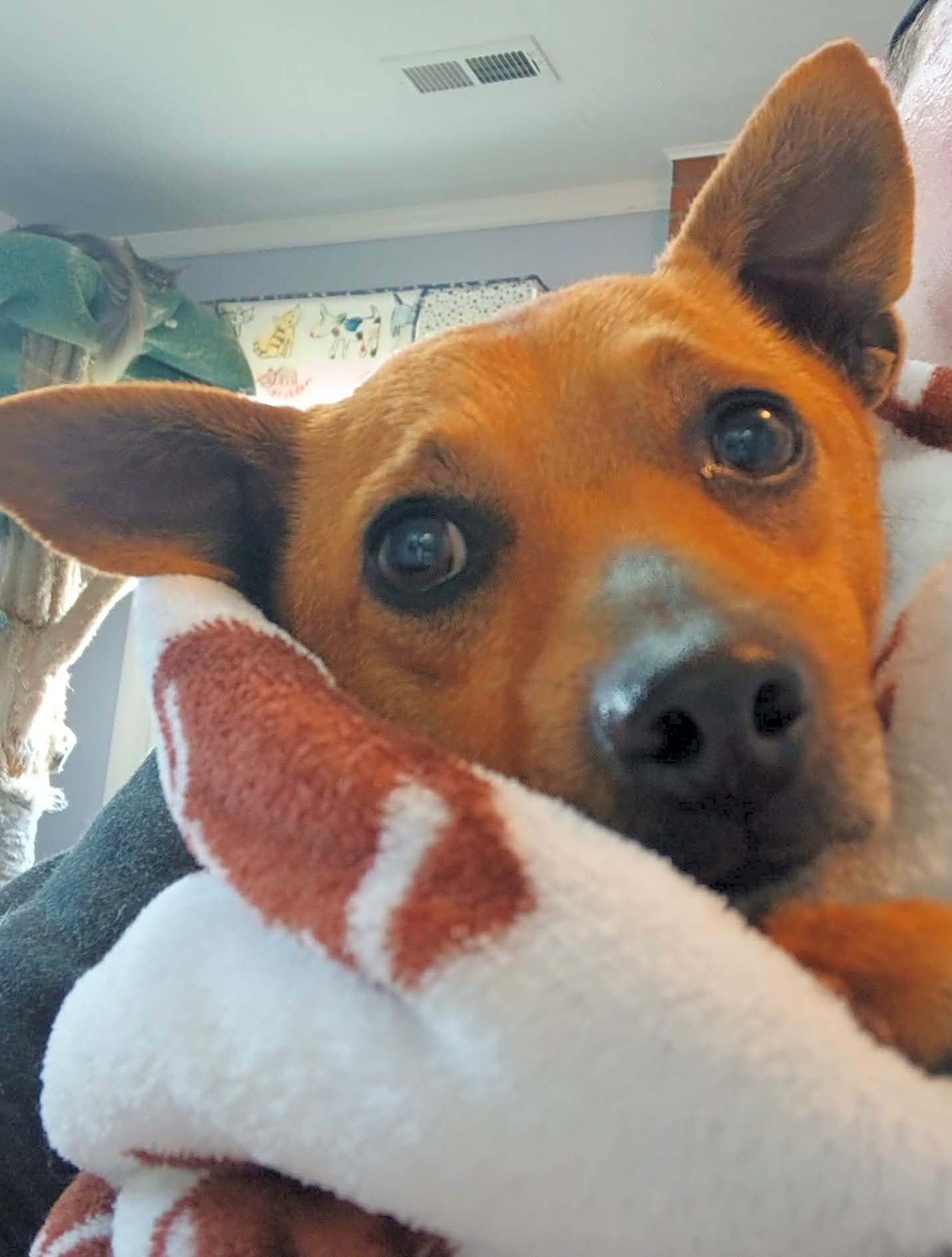 Photo of Lenny