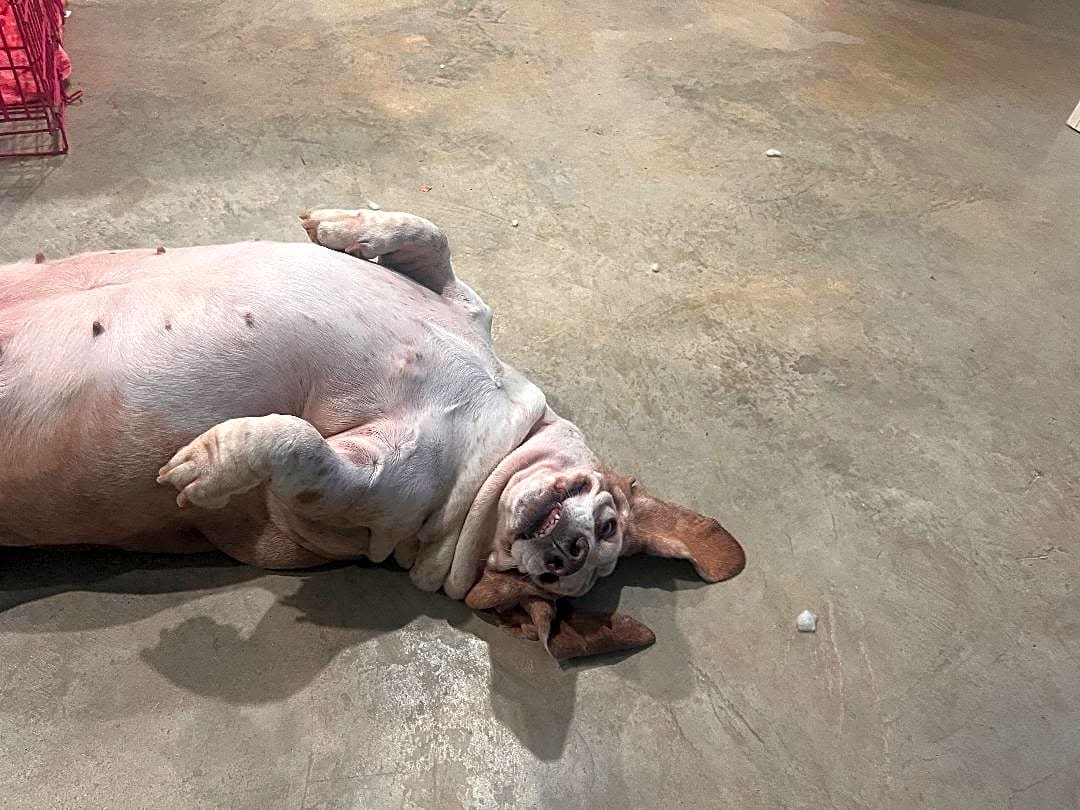 Photo of Maggie