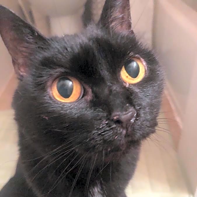 Photo of Spooky