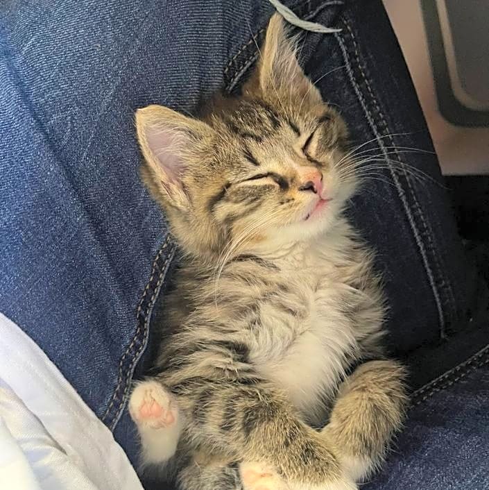 Photo of Afton