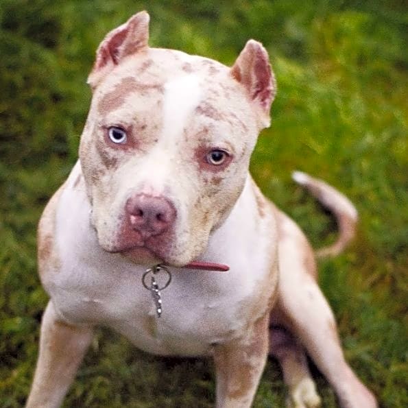 Photo of Gemma