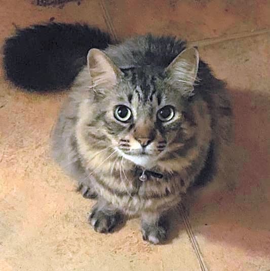 Photo of Leo