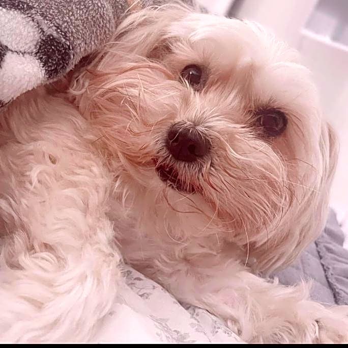 Photo of Elsa